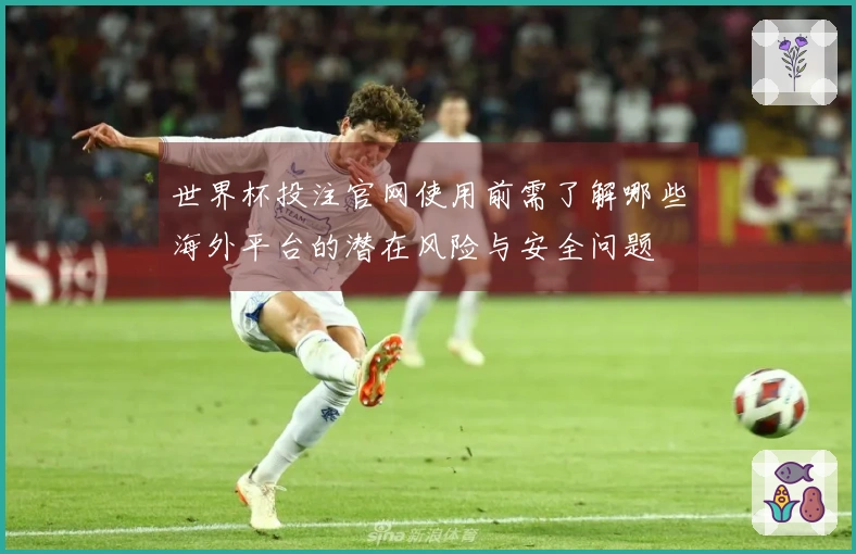 世界杯投注官网使用前需了解哪些海外平台的潜在风险与安全问题